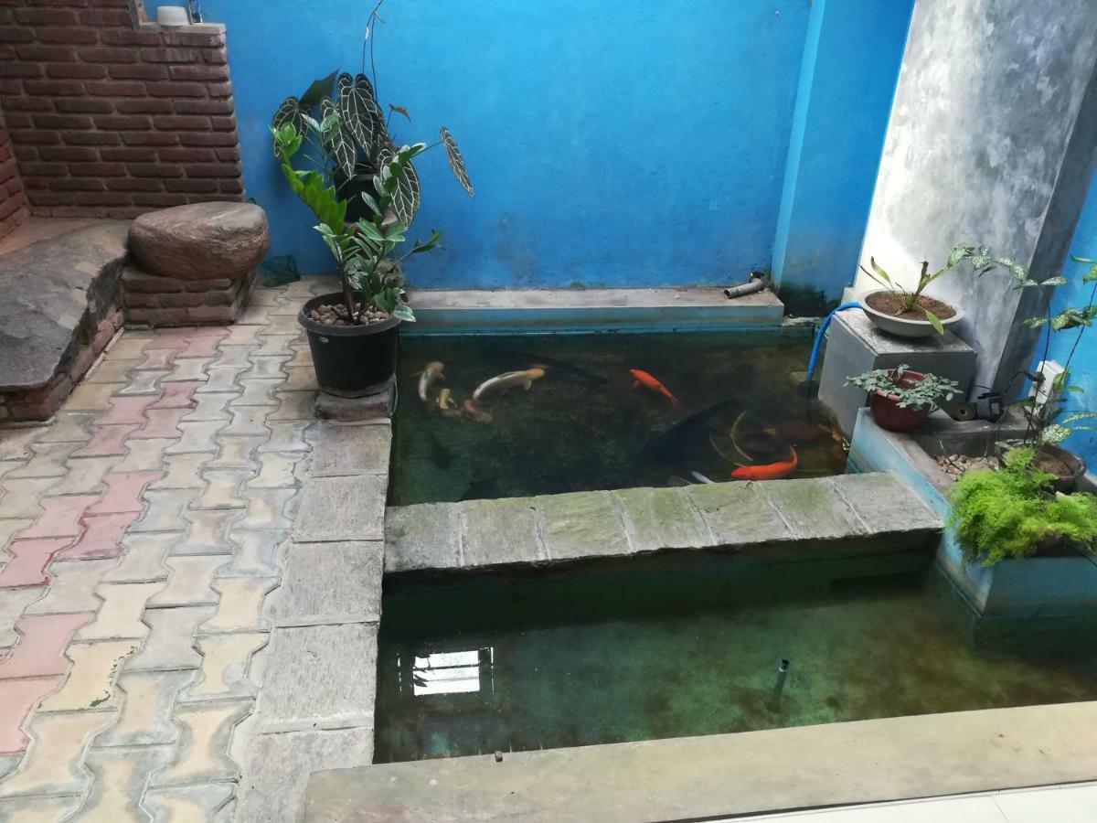 Aurora Echo Villa Matara Ngoại thất bức ảnh