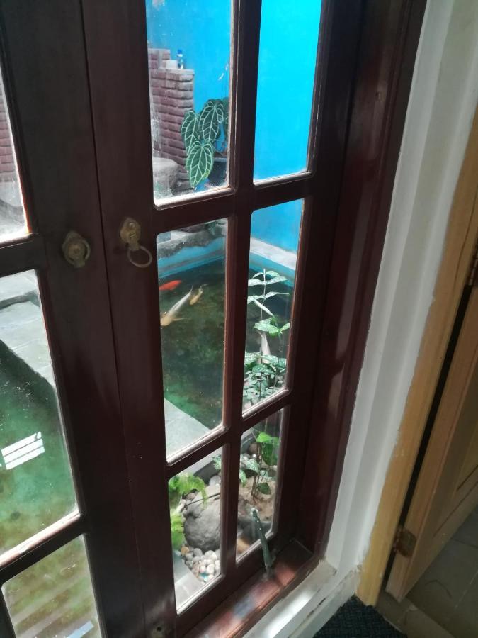 Aurora Echo Villa Matara Ngoại thất bức ảnh